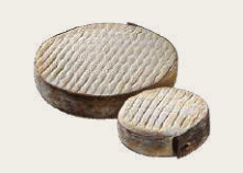 LE GOUSTAL LA BERGÈRE