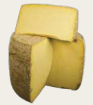 CANTAL JEUNE