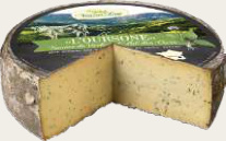 OURSONE TOMME À L’AIL DES OURS