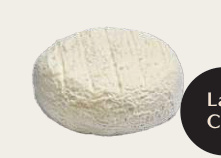 PETITE ROUELLE BLANCHE PETITE ROUELLE CENDRÉE