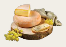 LA TOMME CHARTREUSE