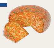 RUSCELLO LIFE TRICOLORE