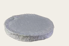 GATINAIS CHÈVRE (TYPE BRIE)