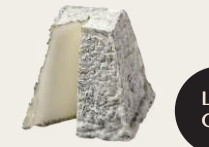GERMOLLIN SEC (TYPE CHAROLAIS)