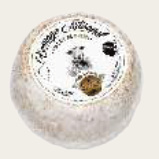 FROMAGE DE BREBIS ARTISANAL CORSE