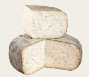 TOMME CHÈVRE GRISE AVEC ORTIE